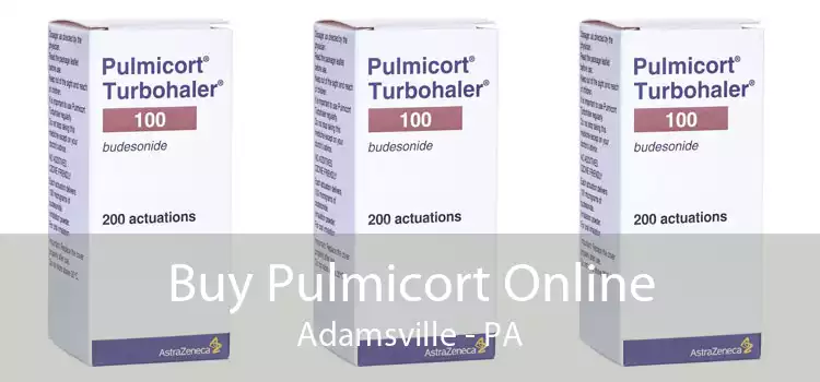 Buy Pulmicort Online Adamsville - PA