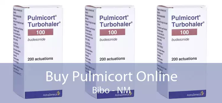Buy Pulmicort Online Bibo - NM