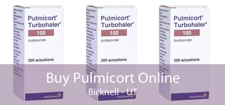 Buy Pulmicort Online Bicknell - UT
