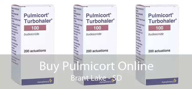 Buy Pulmicort Online Brant Lake - SD