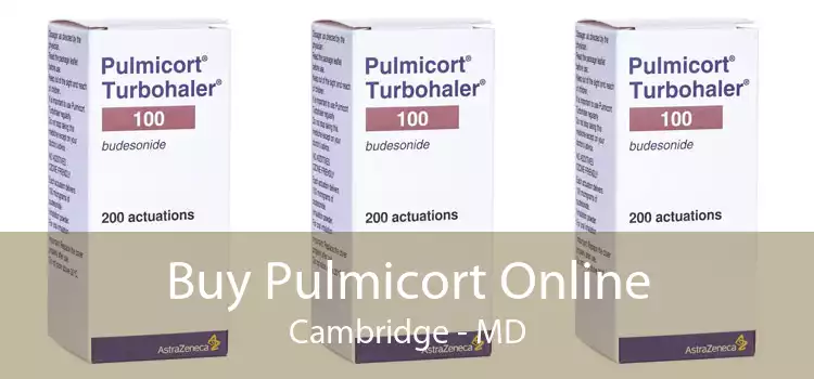 Buy Pulmicort Online Cambridge - MD