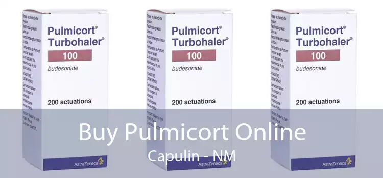 Buy Pulmicort Online Capulin - NM