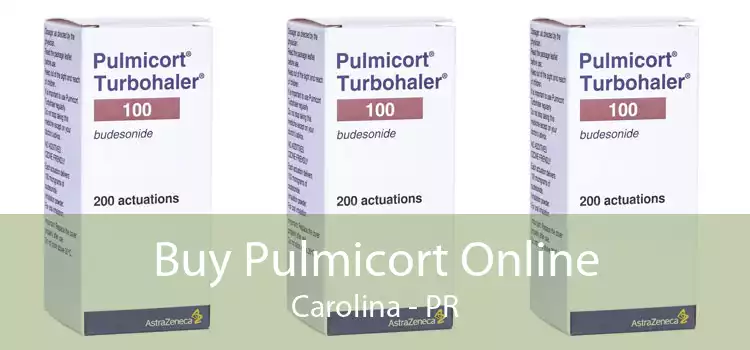 Buy Pulmicort Online Carolina - PR