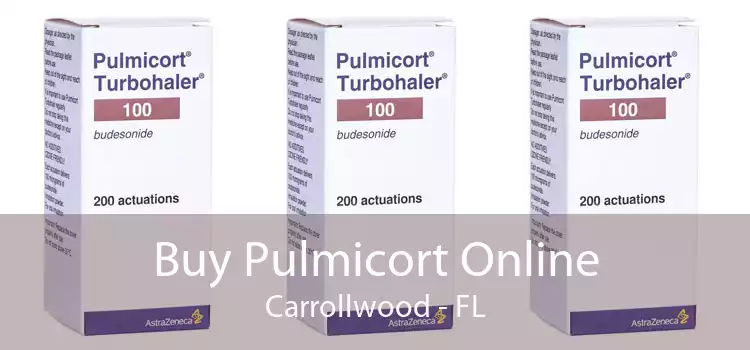 Buy Pulmicort Online Carrollwood - FL