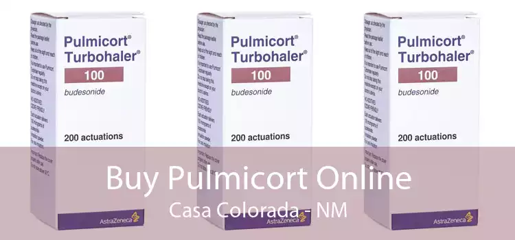 Buy Pulmicort Online Casa Colorada - NM
