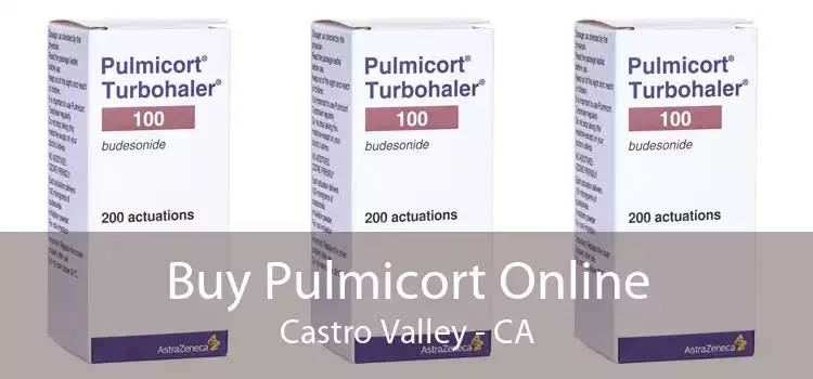 Buy Pulmicort Online Castro Valley - CA
