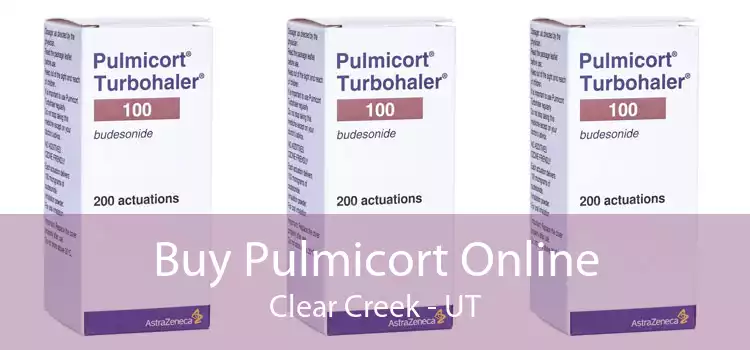 Buy Pulmicort Online Clear Creek - UT