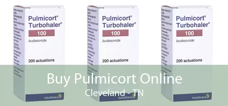 Buy Pulmicort Online Cleveland - TN