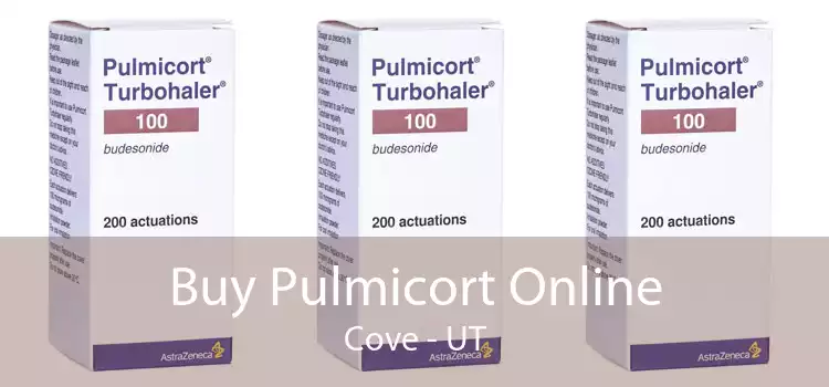 Buy Pulmicort Online Cove - UT