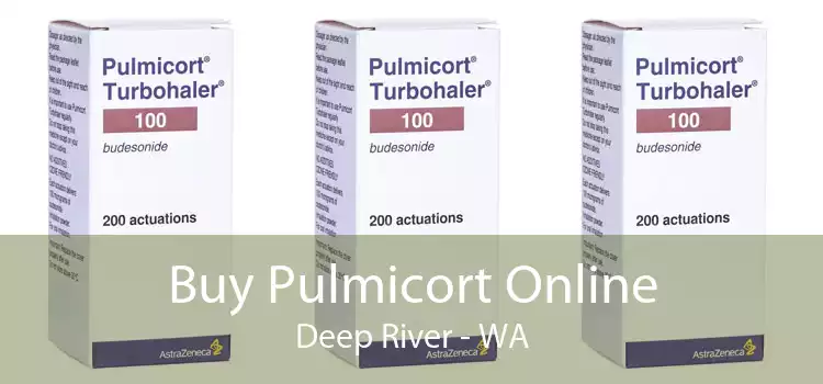 Buy Pulmicort Online Deep River - WA