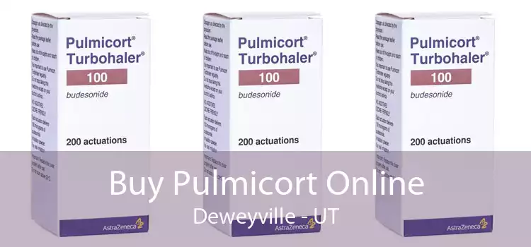 Buy Pulmicort Online Deweyville - UT