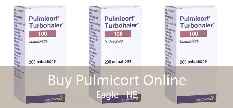 Buy Pulmicort Online Eagle - NE