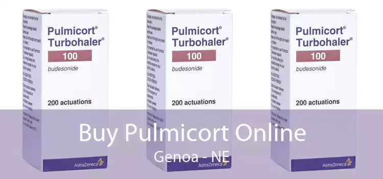Buy Pulmicort Online Genoa - NE