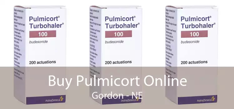 Buy Pulmicort Online Gordon - NE