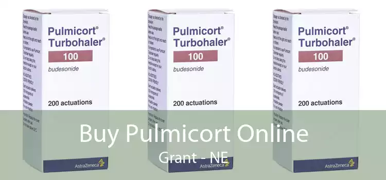Buy Pulmicort Online Grant - NE