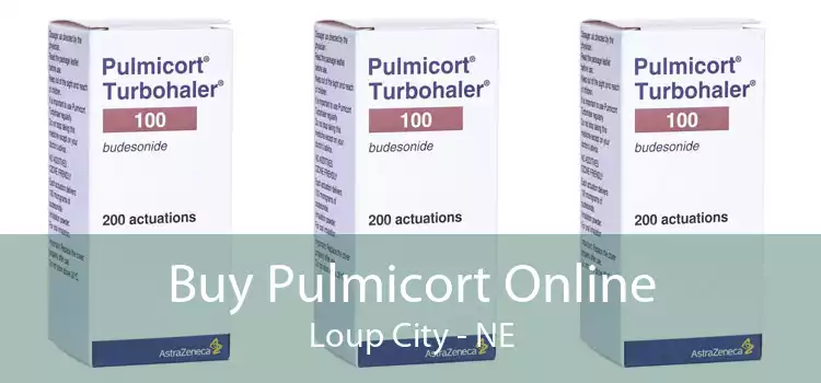 Buy Pulmicort Online Loup City - NE