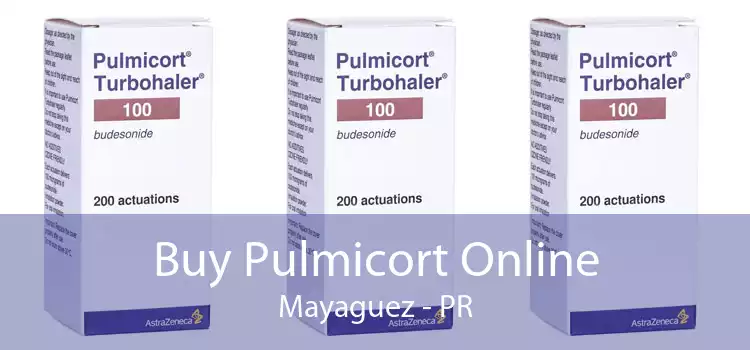 Buy Pulmicort Online Mayaguez - PR