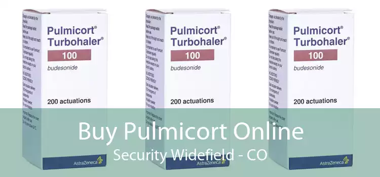 Buy Pulmicort Online Security Widefield - CO