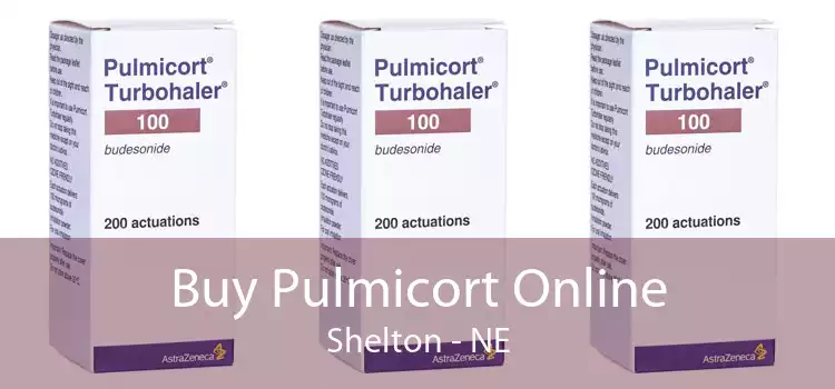 Buy Pulmicort Online Shelton - NE