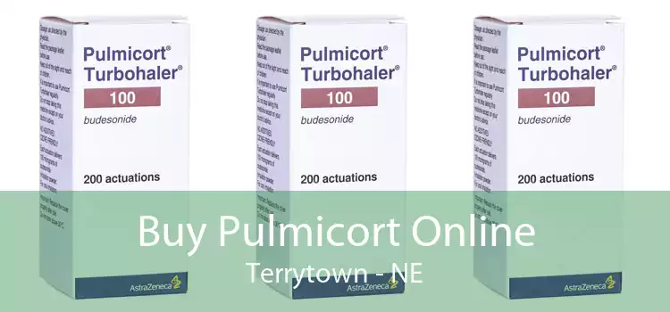Buy Pulmicort Online Terrytown - NE