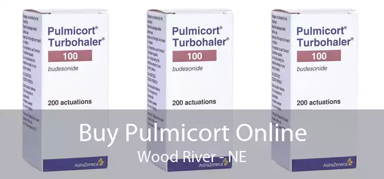 Buy Pulmicort Online Wood River - NE
